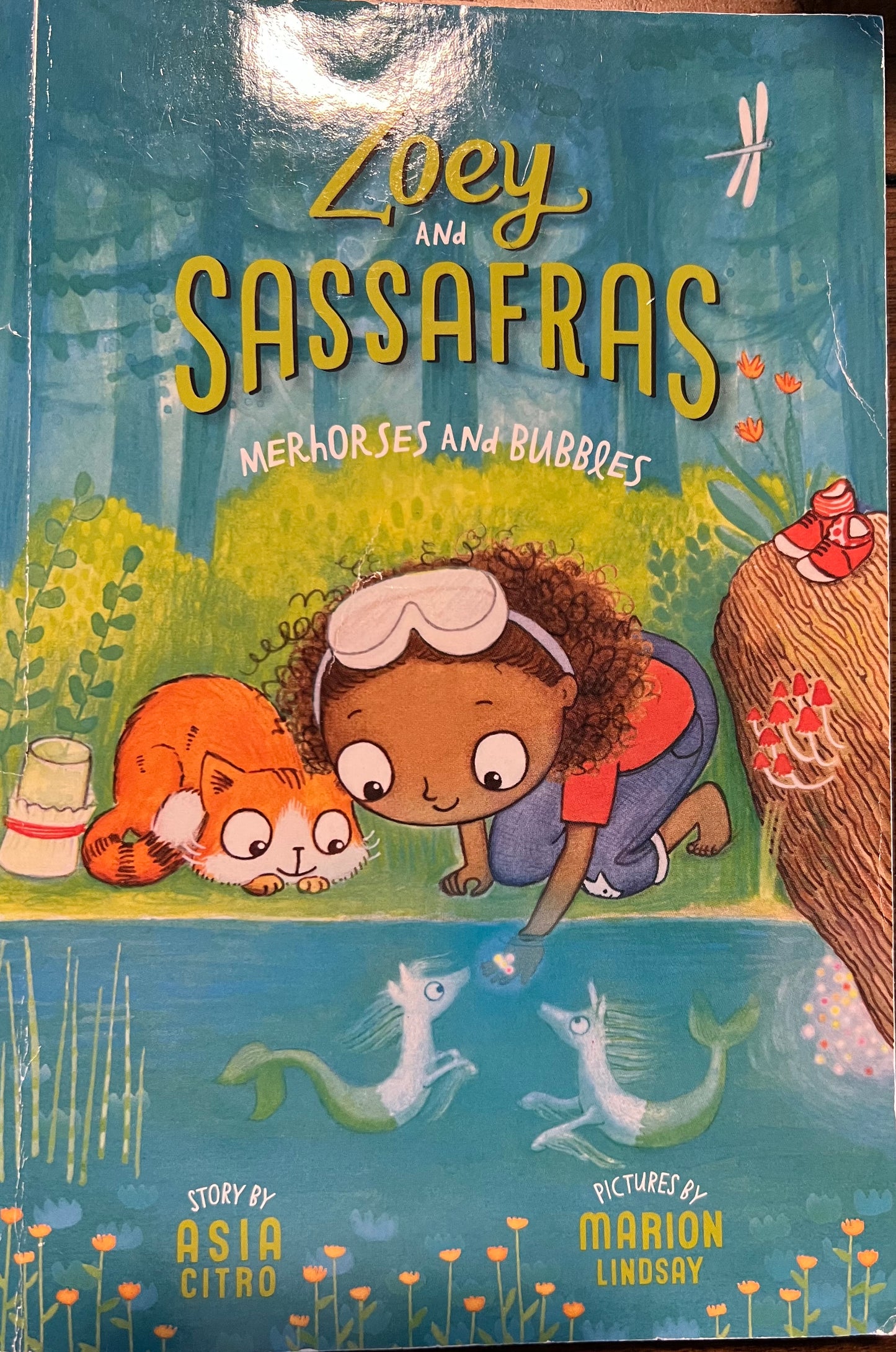 USED: Zoey and Sassafras- Merhorses and Bubbles
