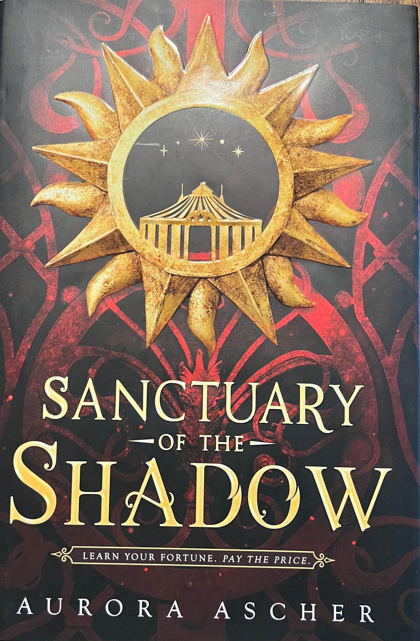USED: Sanctuary of the Shadow (Elemental Emergence, 1)