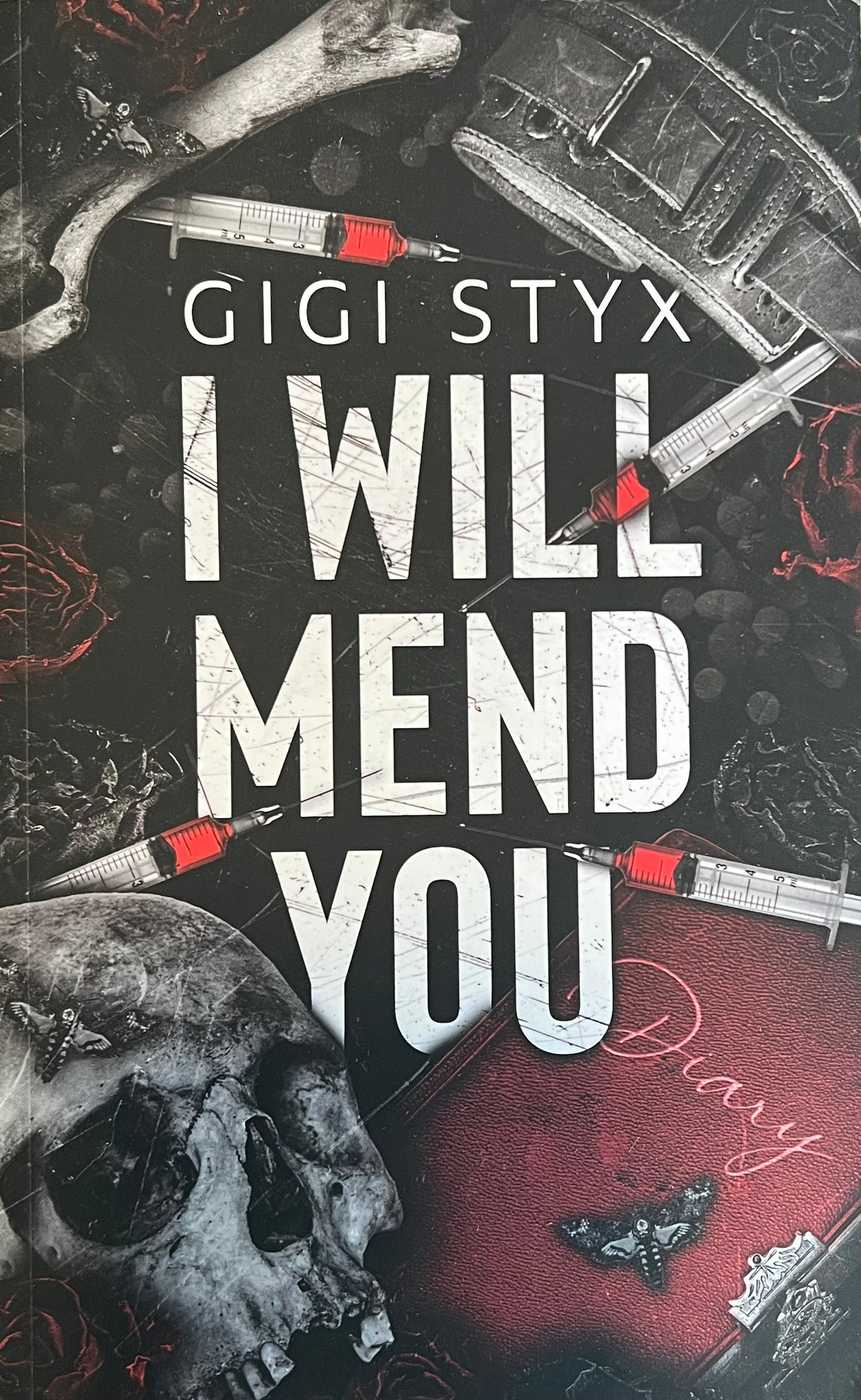 I Will Mend You (Pen Pal Duet #2)