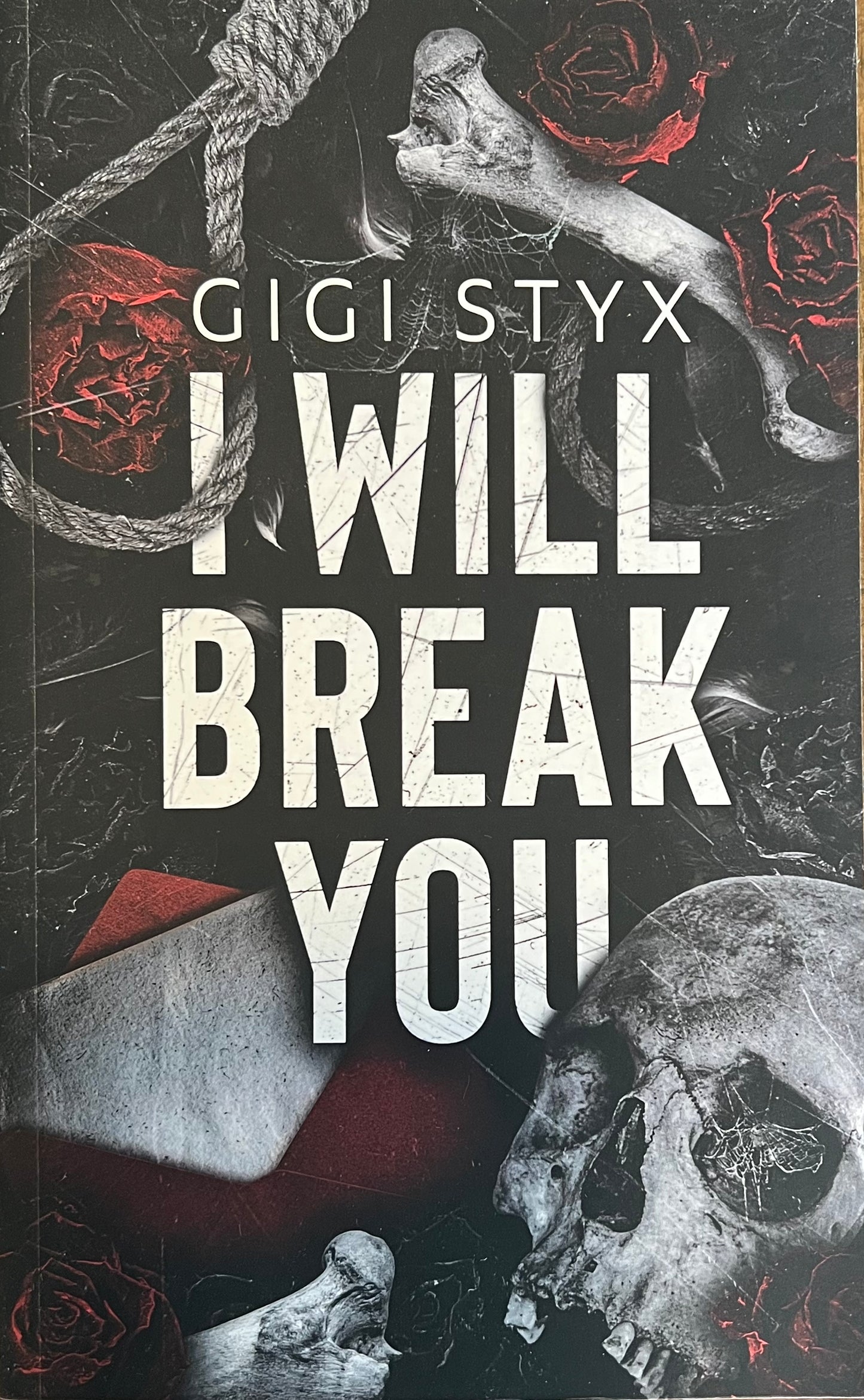 I Will Break You (Pen Pal Duet #1)