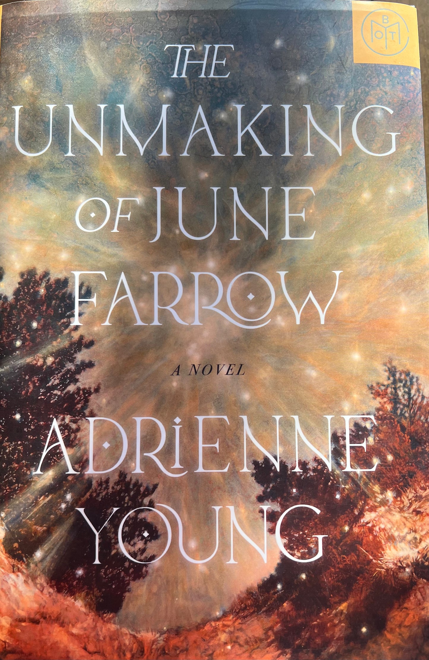 USED- The Unmaking Of June Farrow a Novel