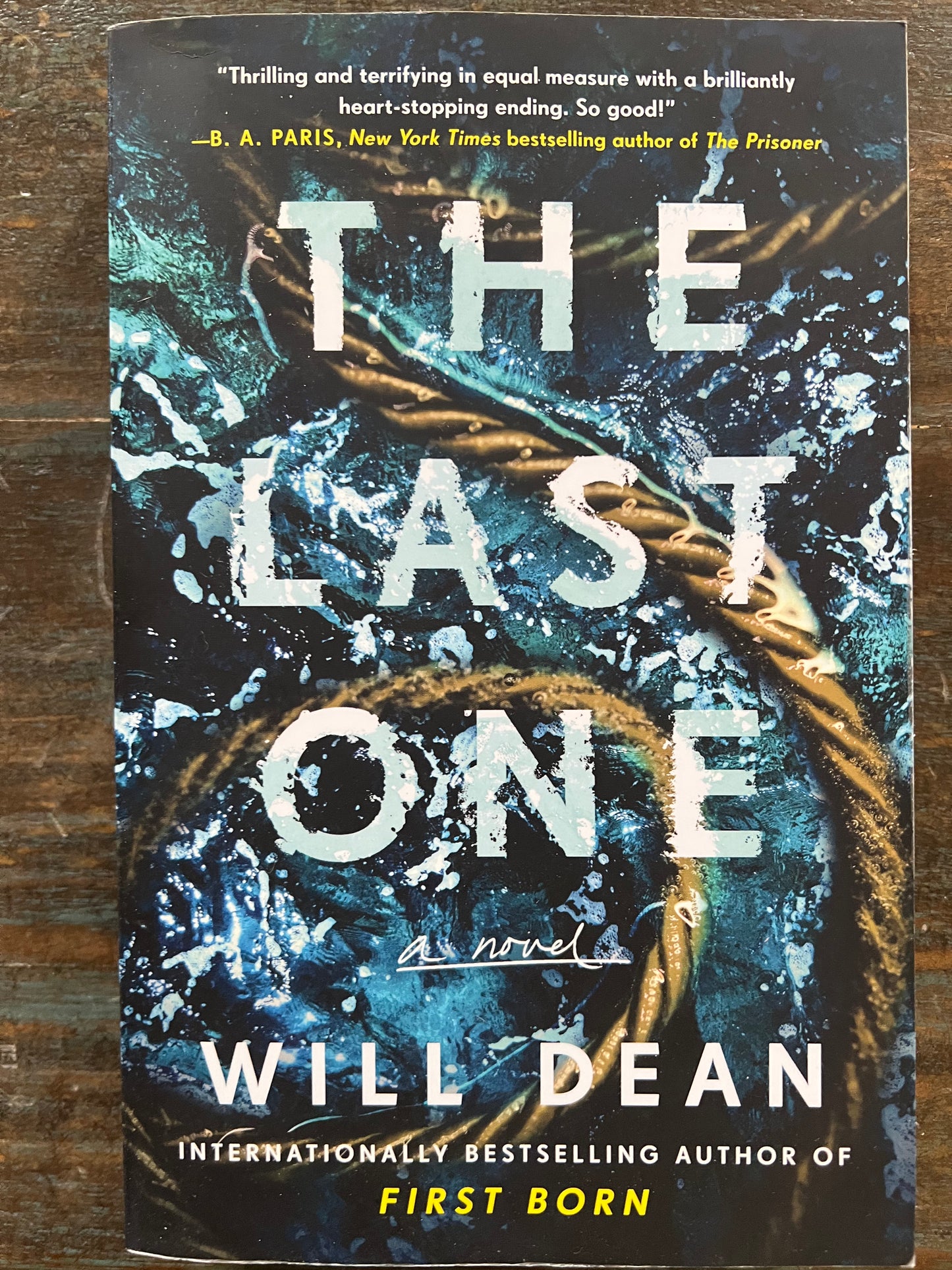 USED- The Last One - Will Dean