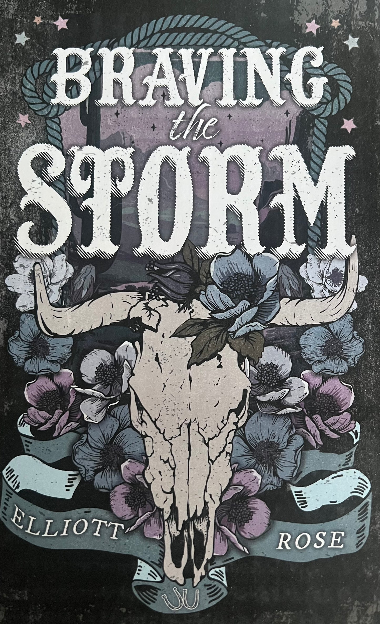 Braving the Storm (Crimson Ridge Book 2)