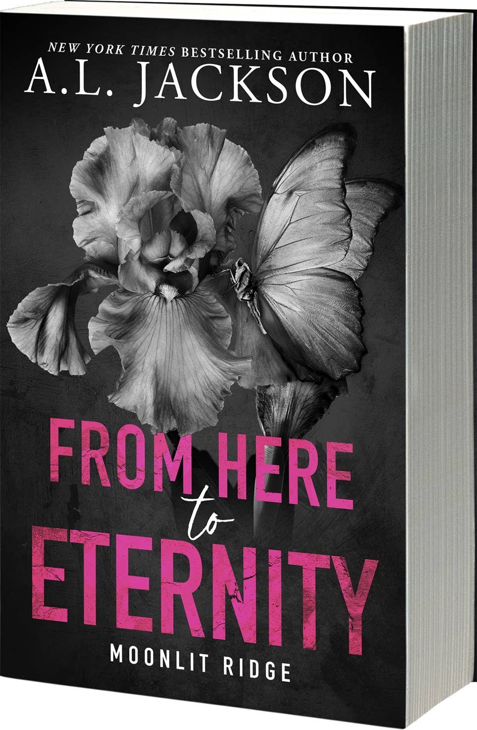 From Here To Eternity (Moonlite Ridge #1)