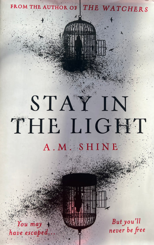 USED- Stay in the Light