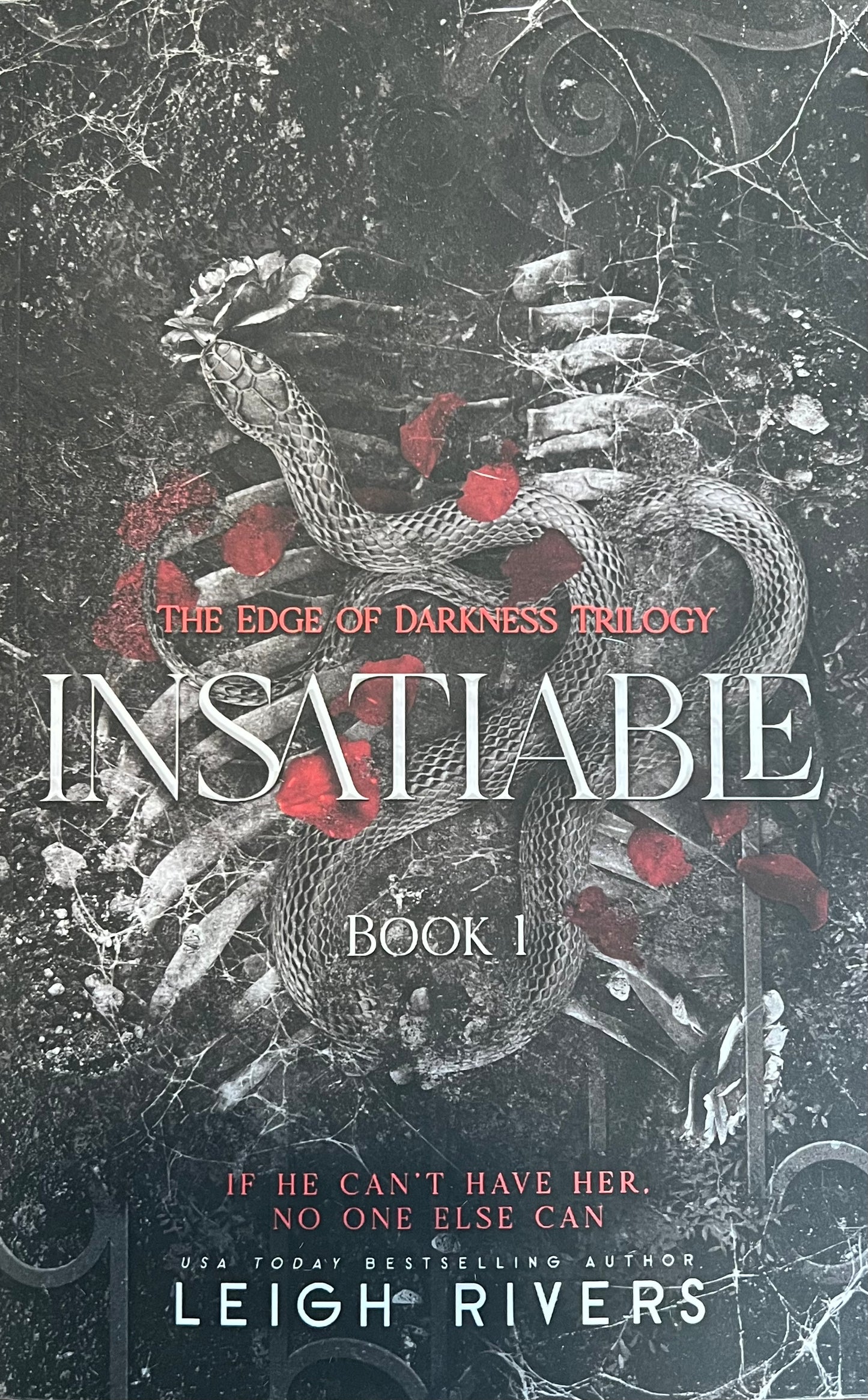 Insatiable (The Edge of Darkness #1)