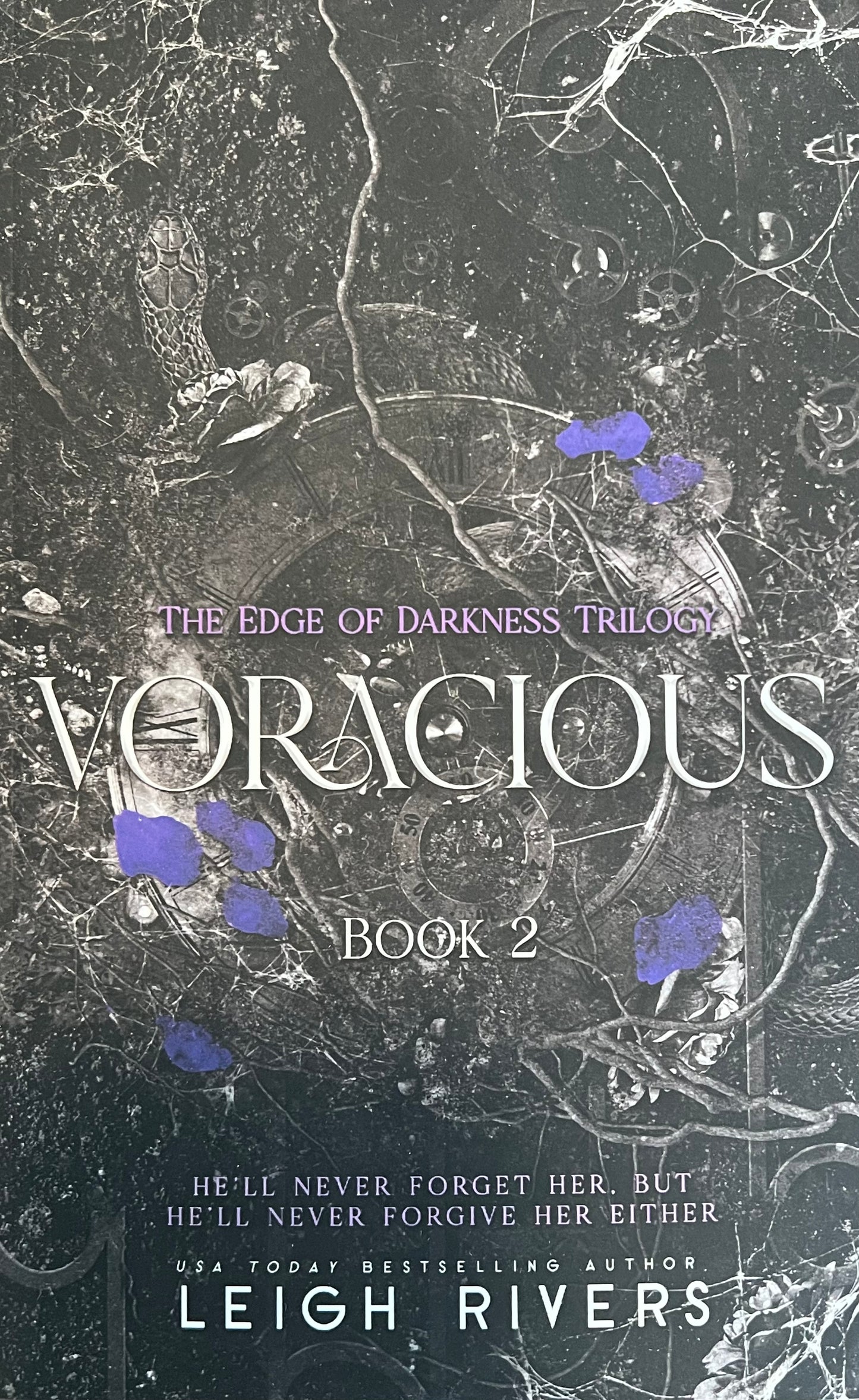 Voracious (The Edge of Darkness #2)