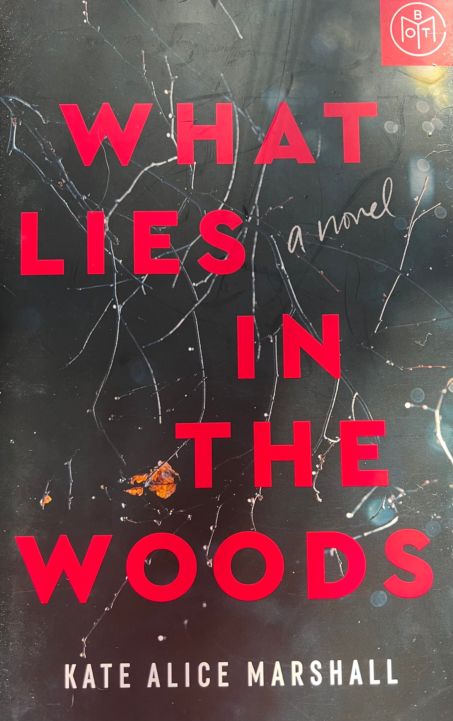 USED- What Lies in the Woods: A novel