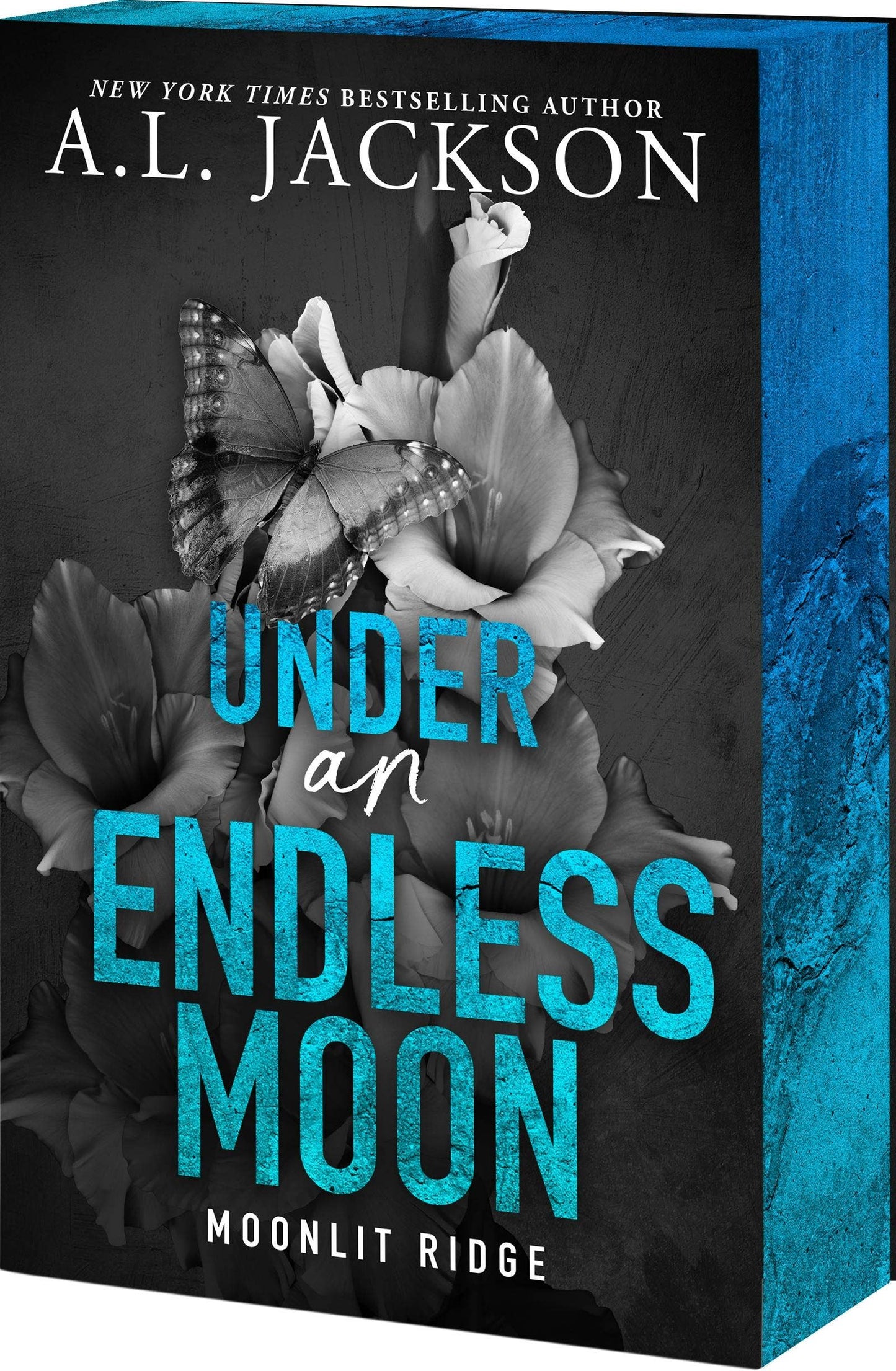 Under An Endless Moon (Moonlit Ridge #2)